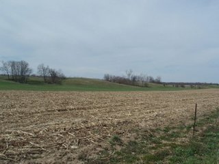80 acres tillable.  30 acres mature woods for long term timber potential.  32 acres pasture with streams.  Perimeter and cross fenced ready for your livestock.  Excellent horse/livestock community.  Nettle Creek School system.  Abundant road frontage.  Information is estimated and not warranted.  - 136 Acres - Cattle - Horse - Grain Farm - Farmhouse - Barns - Pasture